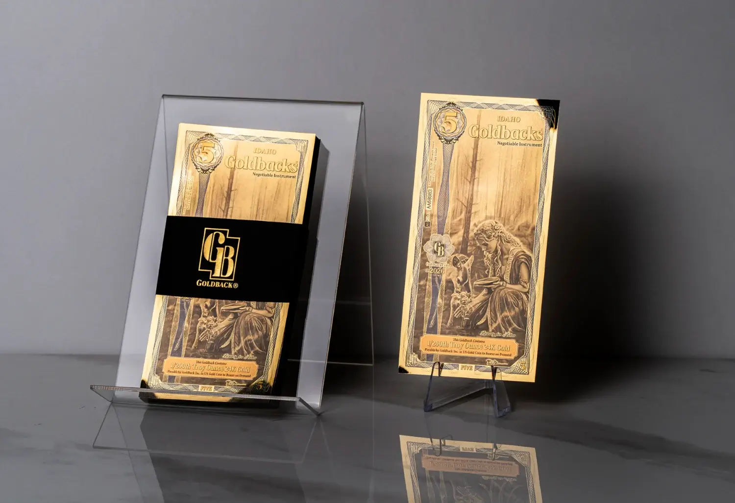 Building an Idaho Goldback starter set with multiple Idaho Goldback notes on display