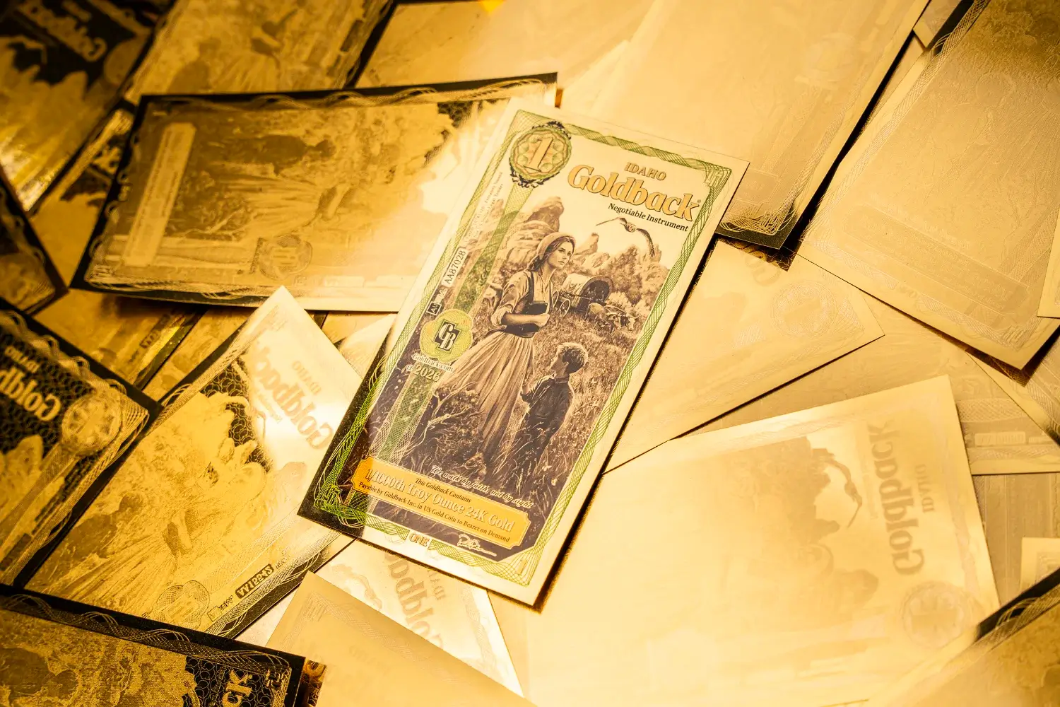 Idaho Goldback studio image used for the virtues behind the Idaho series guide